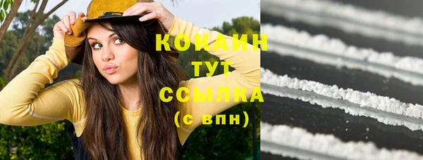 спайс Каменка