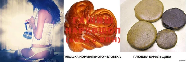 спайс Каменка