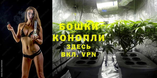 спайс Каменка