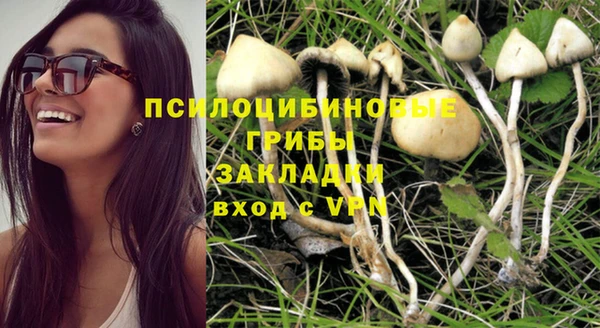 круглые Каменногорск