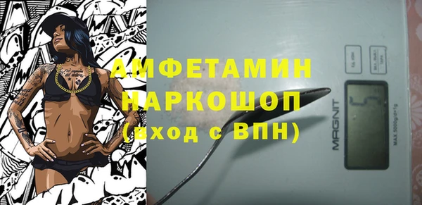 спайс Каменка