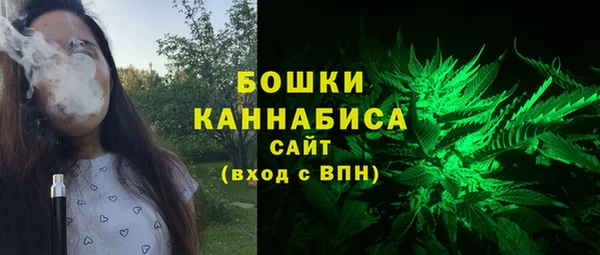 спайс Каменка