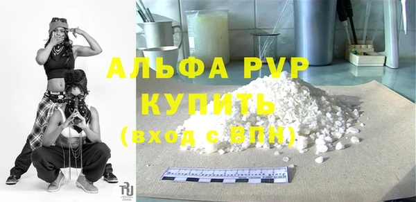 стаф Касимов