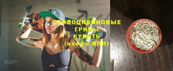 спайс Каменка