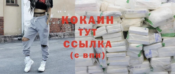спайс Каменка