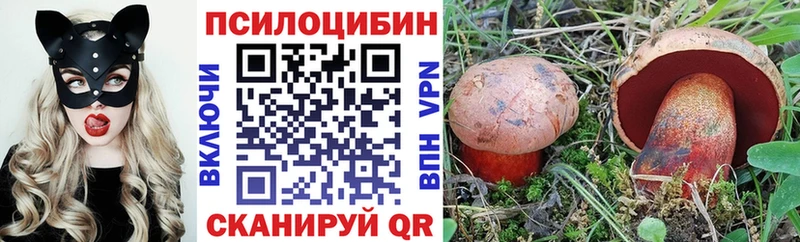 Галлюциногенные грибы GOLDEN TEACHER  Кингисепп 