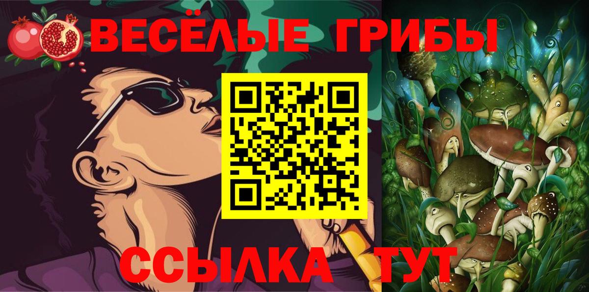 Галлюциногенные грибы Psilocybe Кингисепп